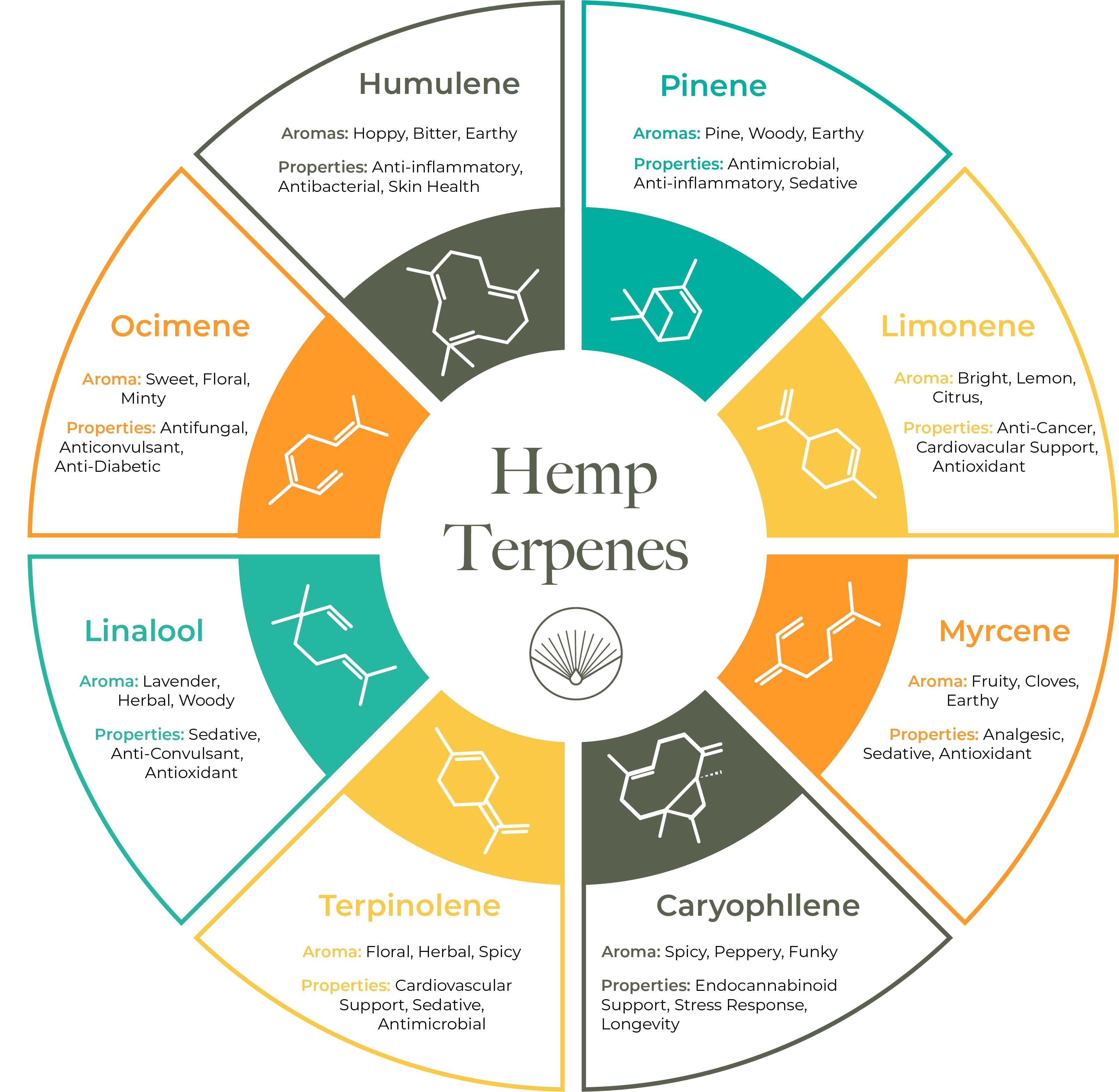 TERPENES, THE ENDOCANNABINOID SYSTEM, AND THE ENTOURAGE EFFECT; WHY YOU SHOULD CARE
